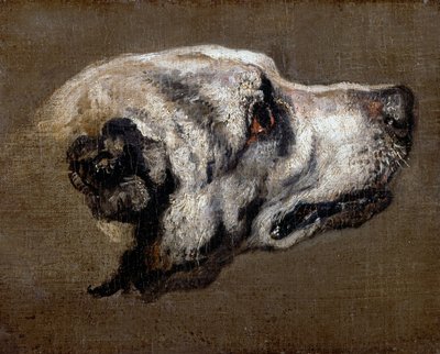 Head of a Hound by Pieter or Peter Boel